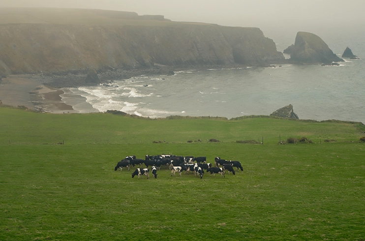 BRAND Campaign image